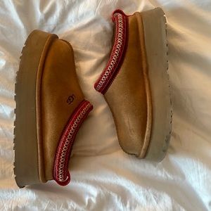 UGG Tazz Mule - Chesnut